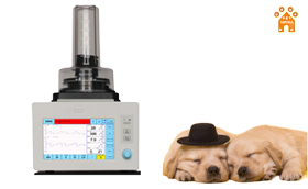 Veterinary Anesthesia Solution