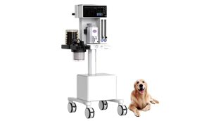 <font color='#0000FF'>VT-2000 Veterinary Anesthesia Work Station</font>