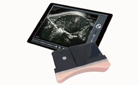 <font color='#0033CC'>VT-B28P Wireless Smart Ultrasound for swine back-fat</font>